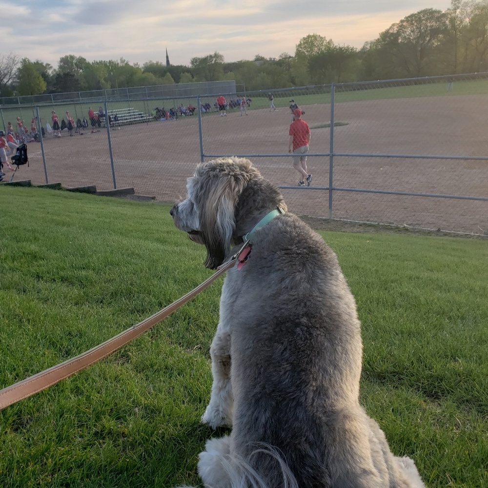 Meet your Posher, Madison